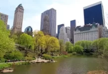 Central Park Live Webcam Nyc