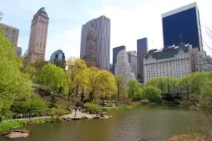 Central Park Live Webcam Nyc