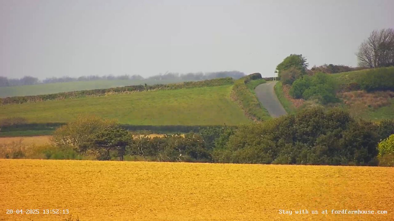 Countryside Webcam Whitwell Village in Ventnor, Isle of Wight