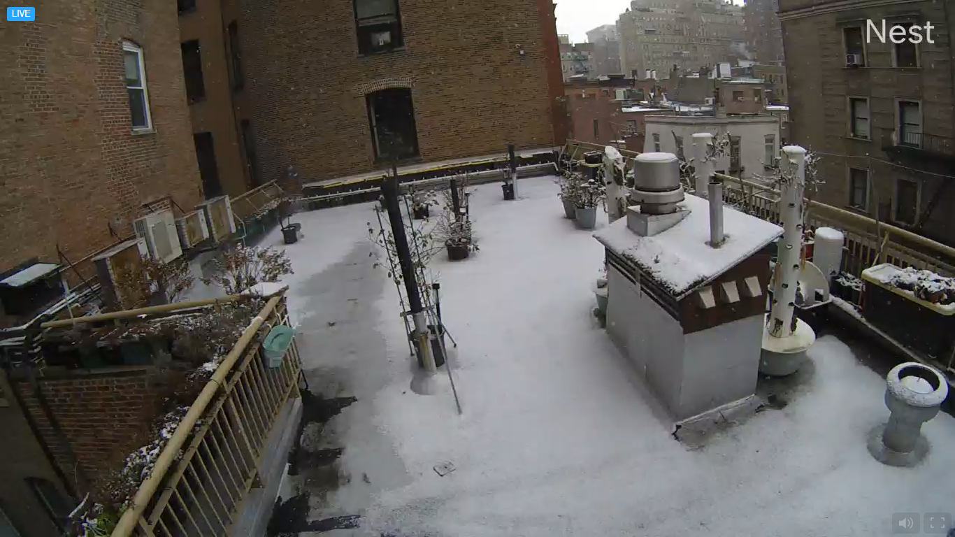 Washington Square Park Live Webcam – NYC, NY