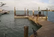 Islamorada, Florida Robbie's Marina Live Webcam