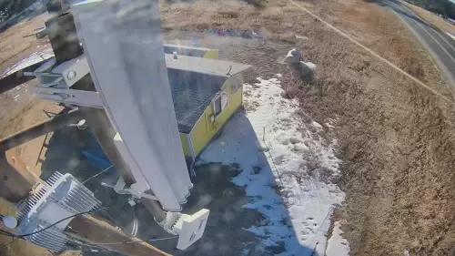 Florissant, Colorado Live Webcam