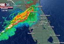 Fox News 35 Orlando Live Stream Fox News 35 Orlando Live Stream