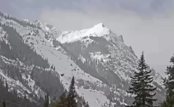 Cooke City, Montana Live Webcam