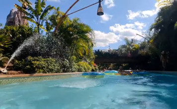 Disneyland Paris Webcam