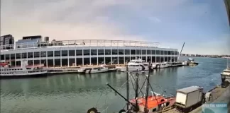 Boston Fish Pier Live Webcam