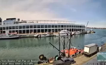 Boston Fish Pier Live Webcam