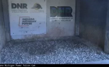 Indiana And Michigan Electricity Power Live Webcam