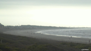 Kiawah Island Resort Charleston, Sc Live Webcam