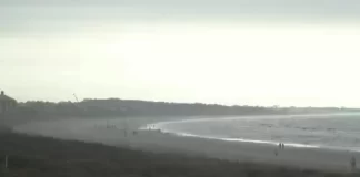 Kiawah Island Resort Charleston, Sc Live Webcam