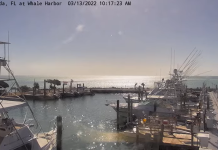 Whale Harbor Seafood Buffet Live Webcam