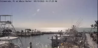 Whale Harbor Seafood Buffet Live Webcam