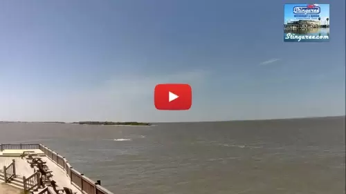 East Galveston Bay Live Webcam Stream New