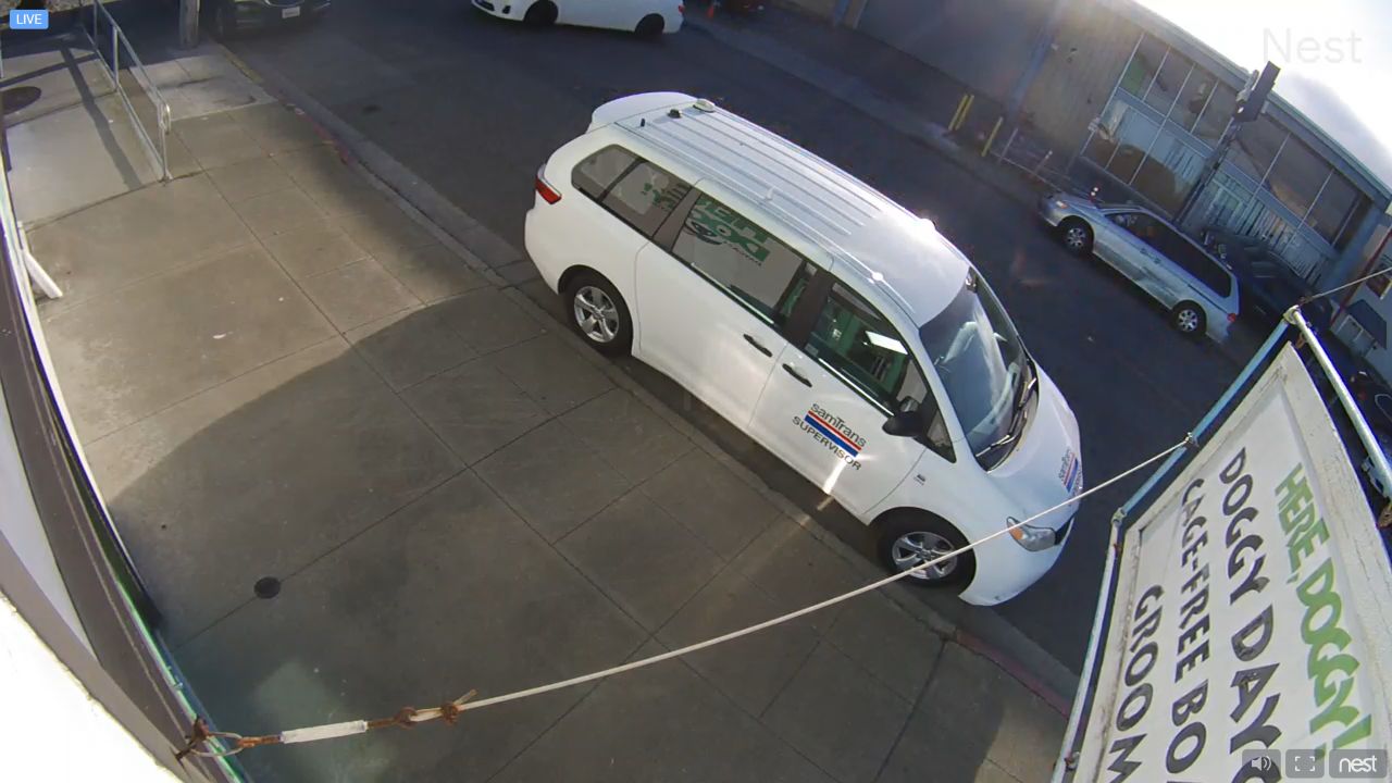 Live Webcam Here Doggy Daycare – San Francisco, CA
