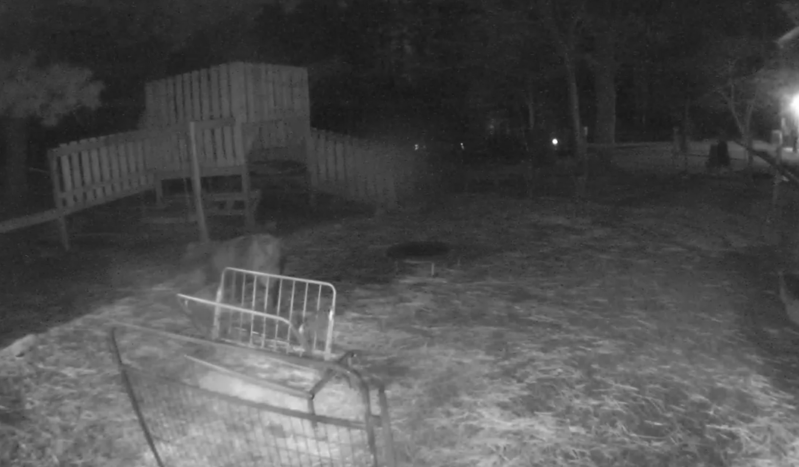Sheep Webcam – Unity Sanctuary Farm – Sherborn, MA