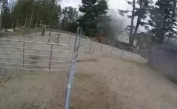 Horse Rescue Near Me Live Webcam