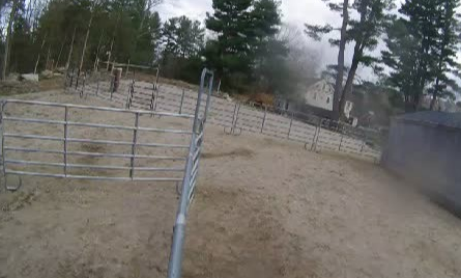 Horse Rescue Webcam – Unity Sanctuary Farm – Sherborn, MA