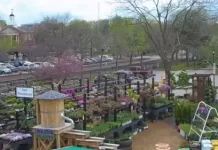 Kirkwood Farmers Market Live Webcam | Mo