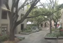College Of Charleston Live Webcams New