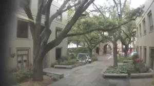 College Of Charleston Live Webcams New