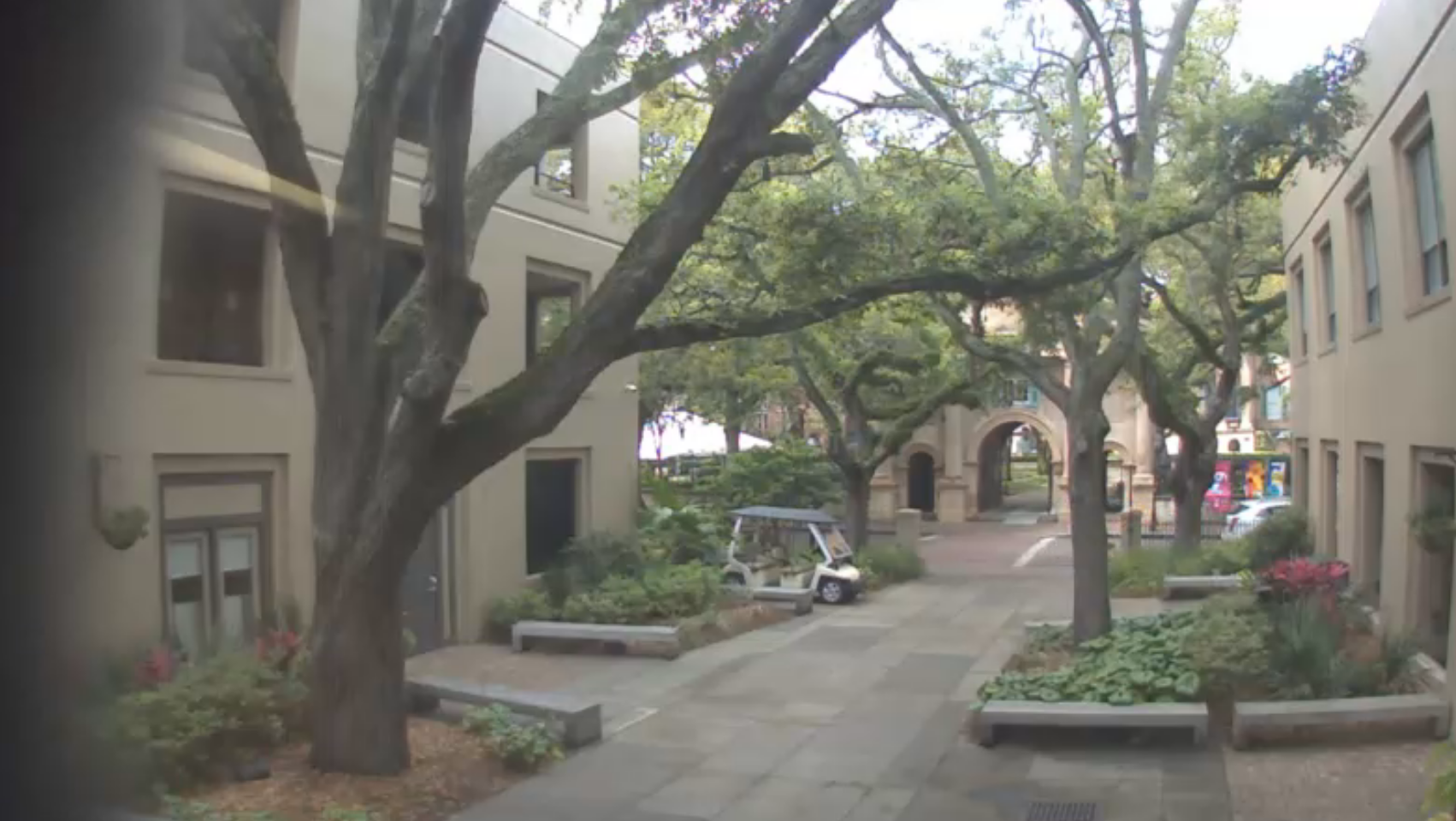 College of Charleston Live Webcams – South Carolina