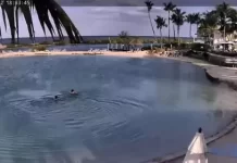Hawks Cay Resort Duck Key Live Webcam