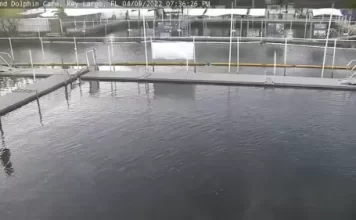 Island Dolphin Care Key Largo Live Webcam