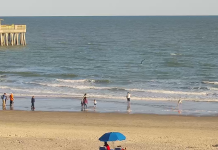 Folly Beach, Sc Live Webcam