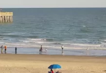 Folly Beach, Sc Live Webcam