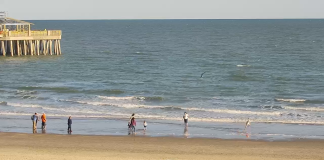 Folly Beach, Sc Live Webcam