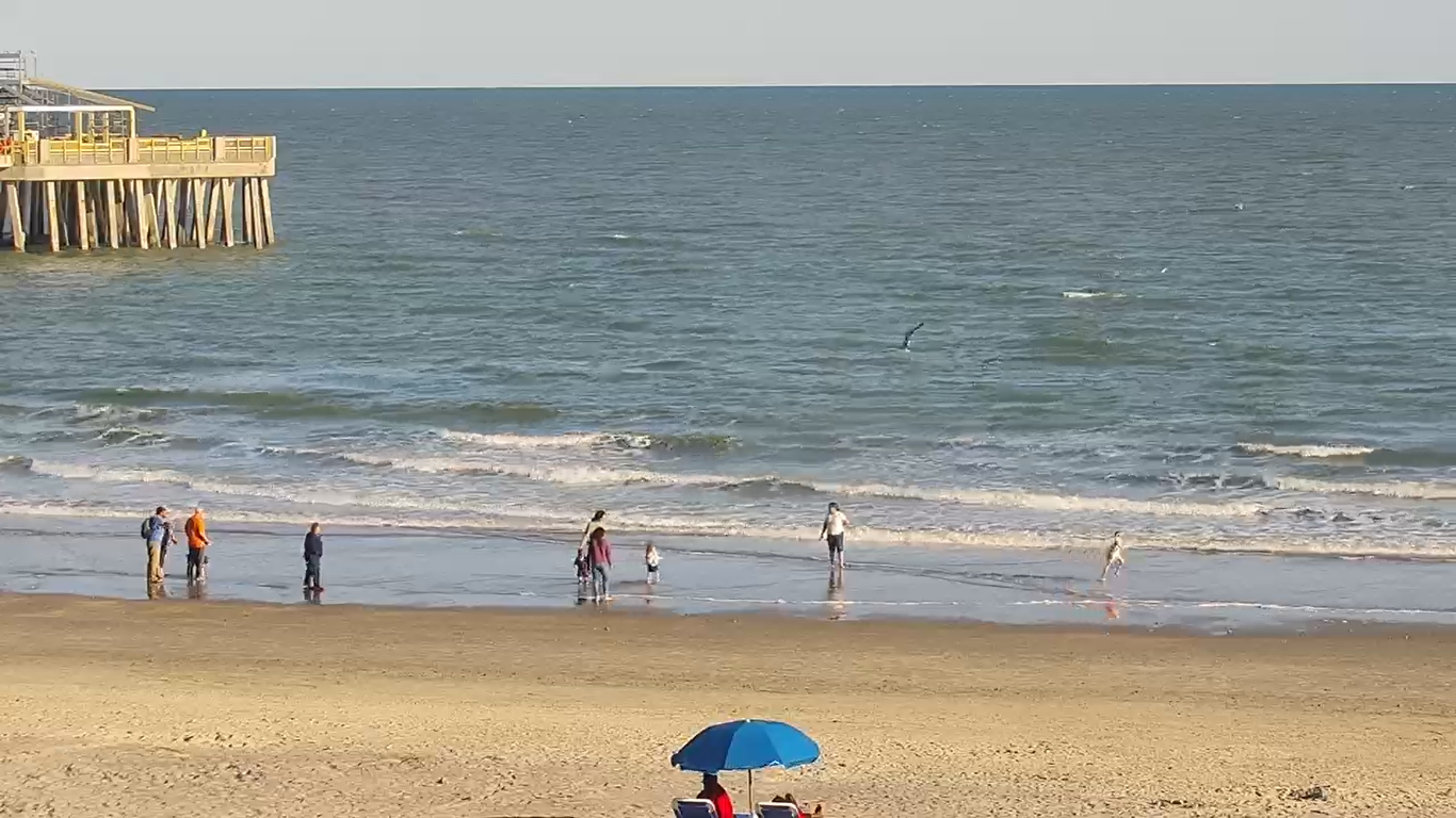 Folly Beach, SC Live Webcam