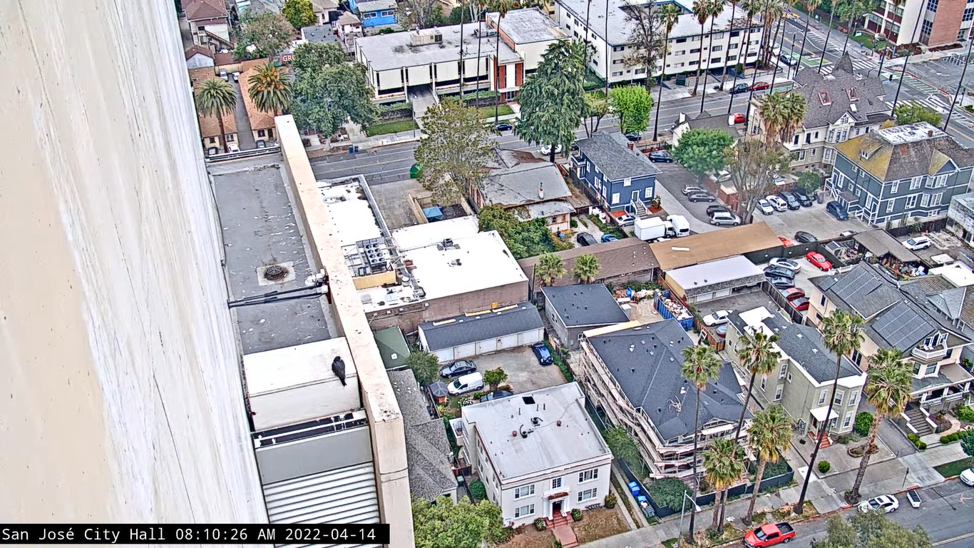 San Jose, California Weather Live Webcams