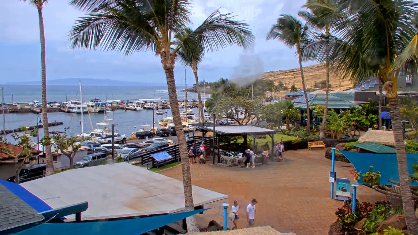 Maui Ocean Center Webcam – Real Time Live Video – Hawaii