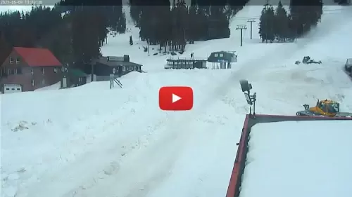 Mt Washington Webcam | Skiing Alpine Resort Bc, Canada