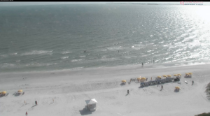 Pink Shell Beach Cam, Fort Myers Beach | Hd Live Video