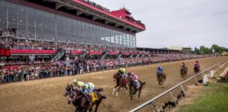 Preakness Stakes Live Video - Baltimore, Maryland