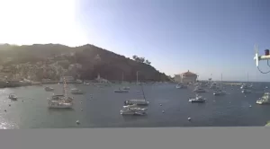Santa Catalina Island Webcam