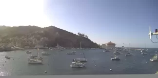 Santa Catalina Island Webcam