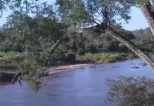 Olifants River Webcam, Balule Nature Reserve, South Africa