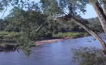 Olifants River Webcam, Balule Nature Reserve, South Africa