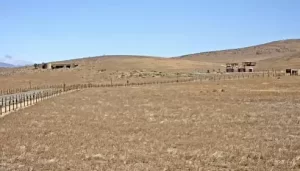 Antelope Valley Poppy Reserve Live Webcam New