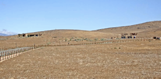 Antelope Valley Poppy Reserve Live Webcam