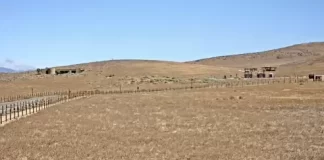 Antelope Valley Poppy Reserve Live Webcam New