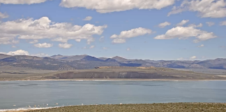 Mono Lake Live Webcam New