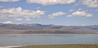 Mono Lake Live Webcam New