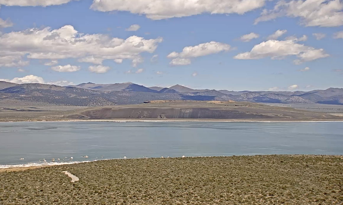 Mono Lake Live Webcam