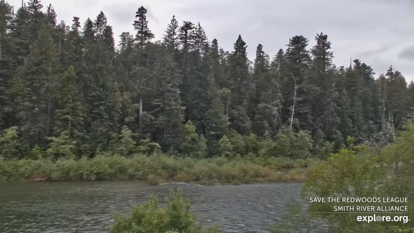 Smith River Cam – Crescent City, CA