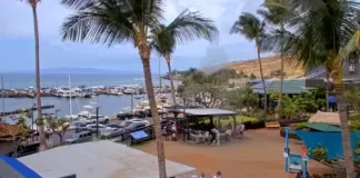 Maui Ocean Center Webcam