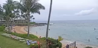 Napili Sunset Beach Front Resort Webcam
