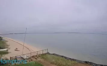 Peconic Bay Beach Live Webcam